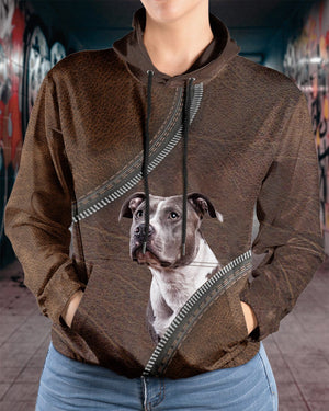 pitbull 4-Never Walk Alone Hoodie