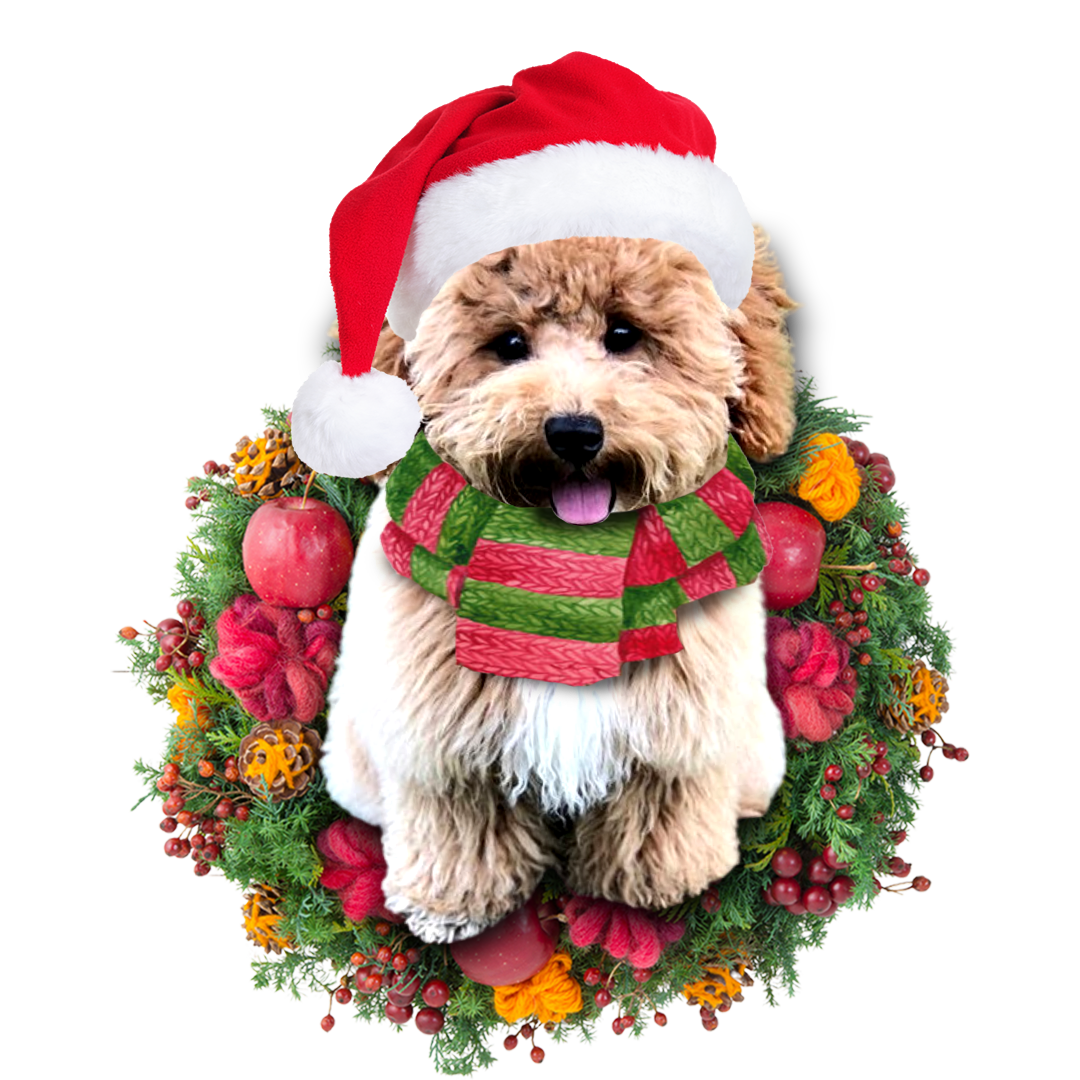 Poochon Christmas Ornament