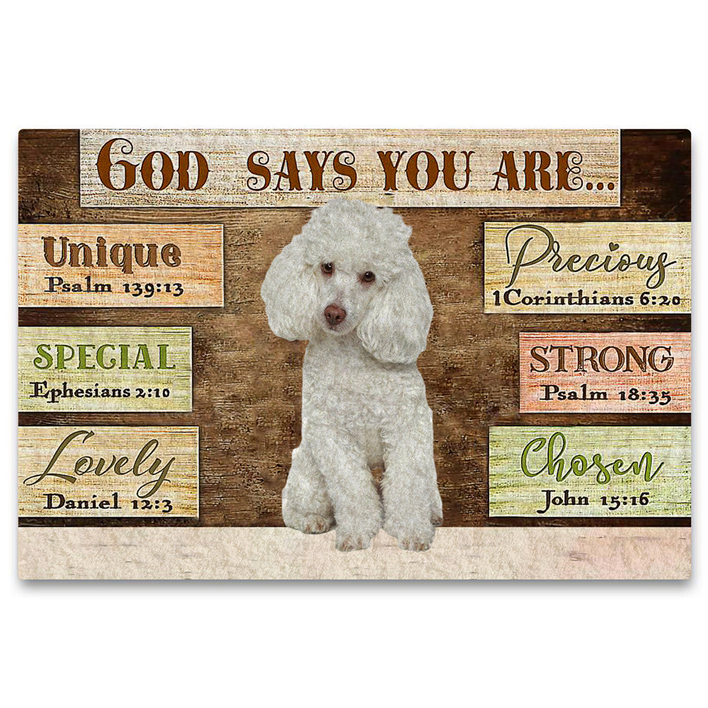 Poodle  (1) God Says You Are Doormat