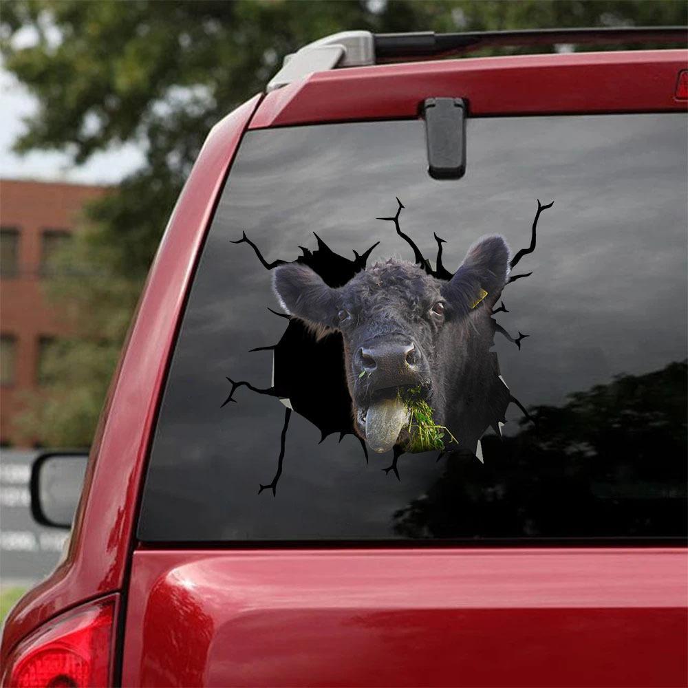 Hungry Angus Cow Crack Car Sticker