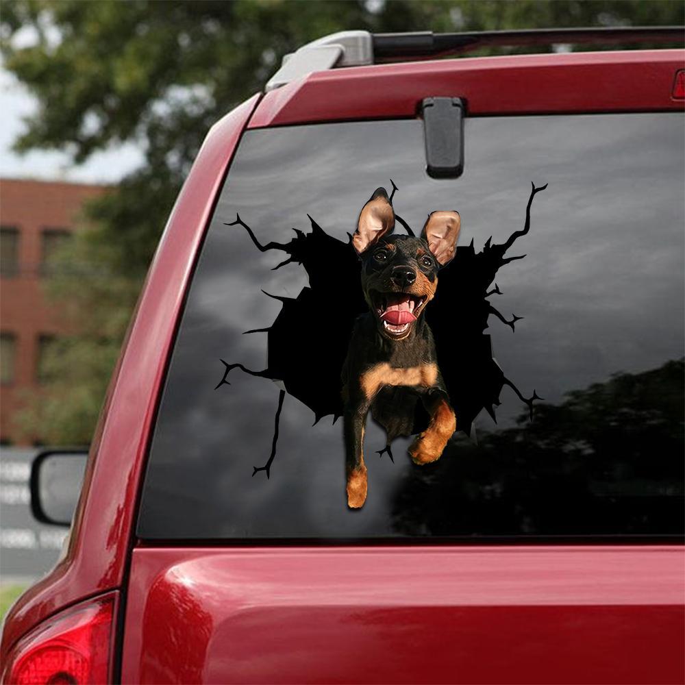 Chihuahua Crack Car Sticker, Toilet Sticker, Fridge Sticker (28)