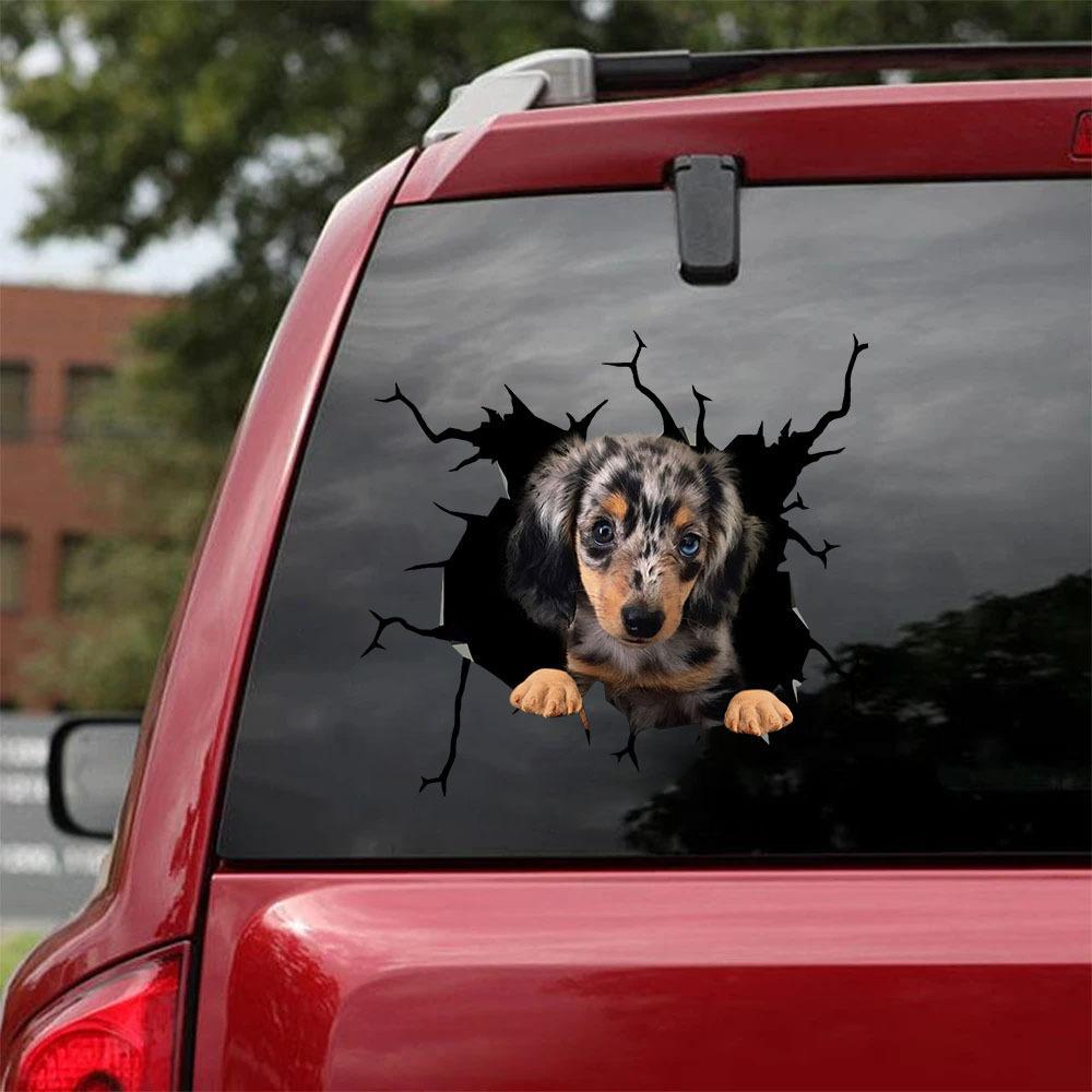 Dachshund Crack Car Sticker, Toilet Sticker, Fridge Sticker (5)