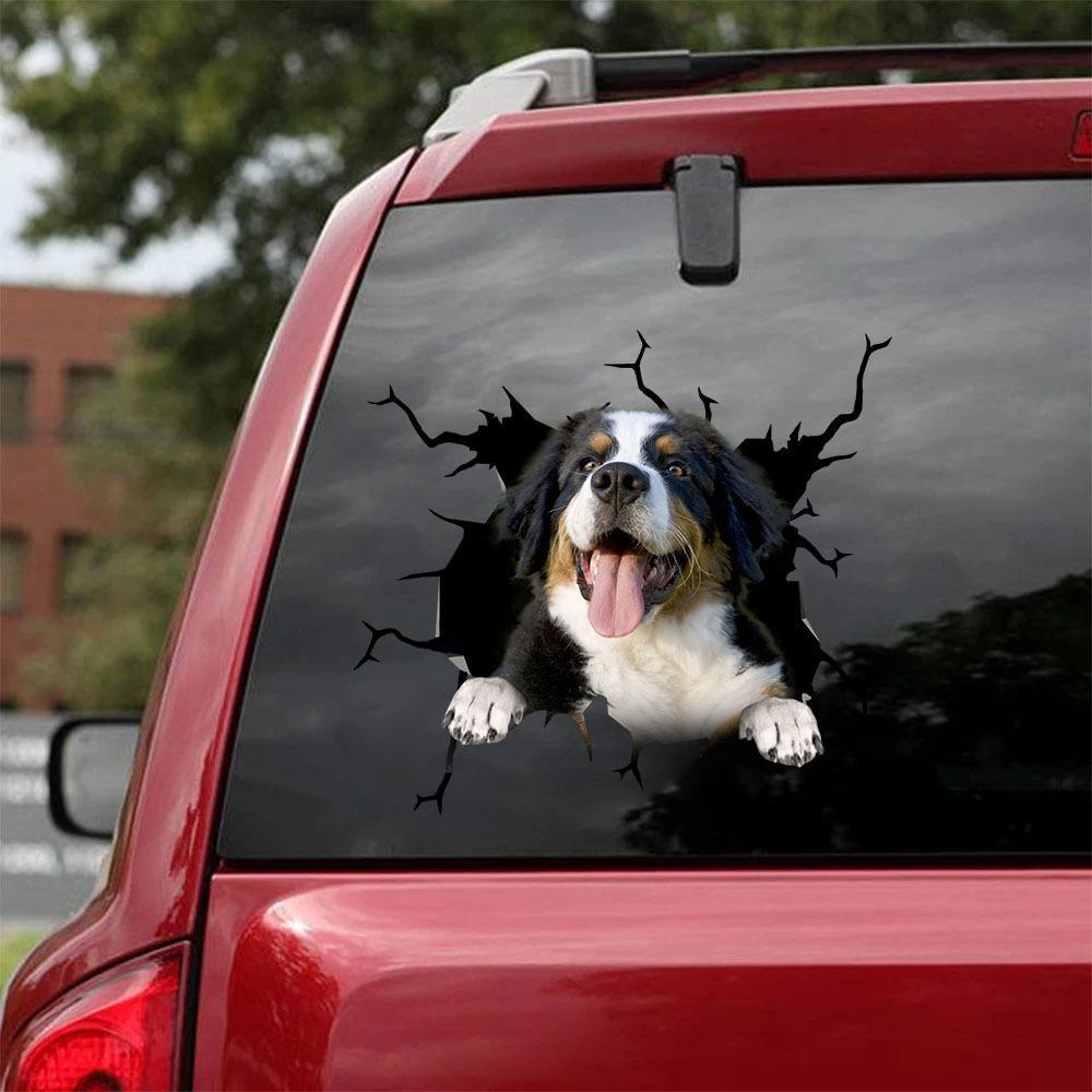 Bernese Mountain Crack Car Sticker, Toilet Sticker, Fridge Sticker 11