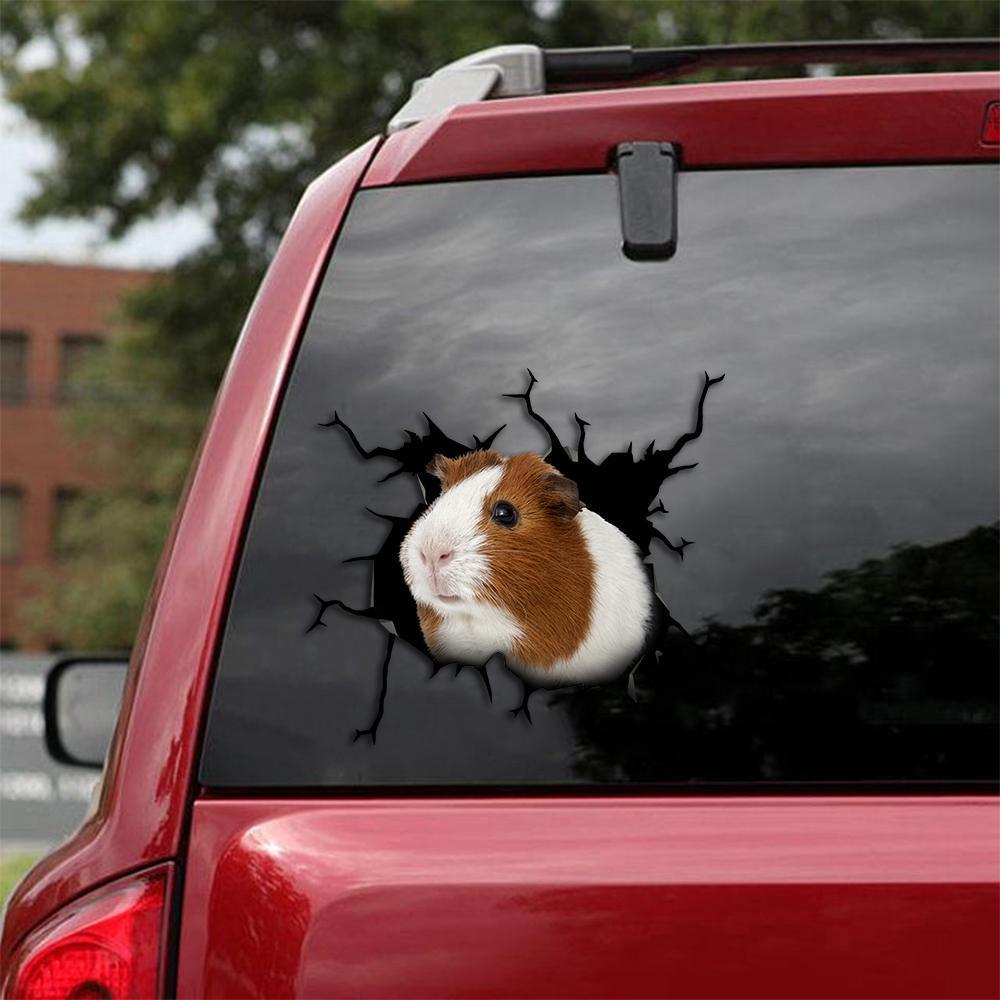 Guinea Pig Car Sticker 1