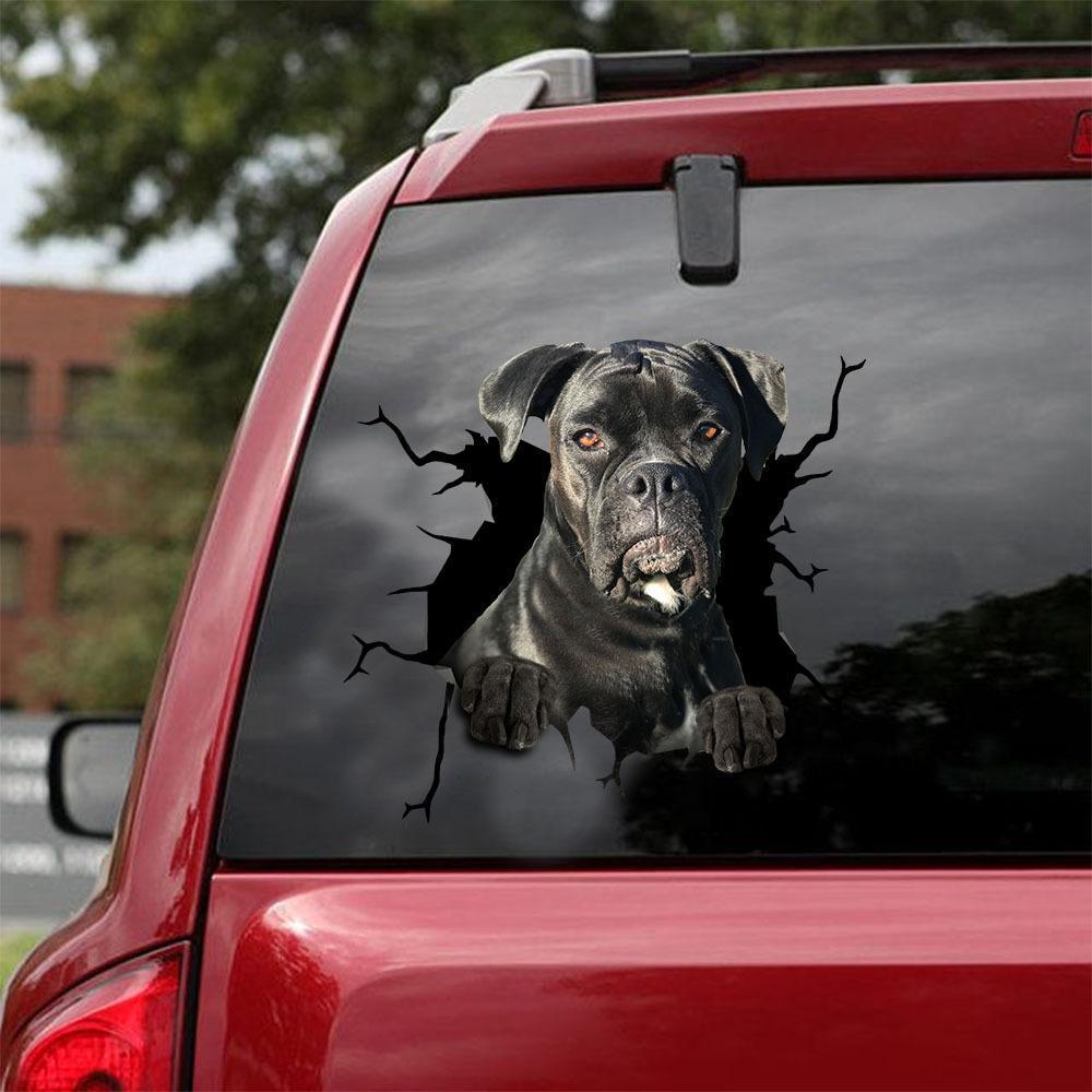 Boxer 6 Car Sticker