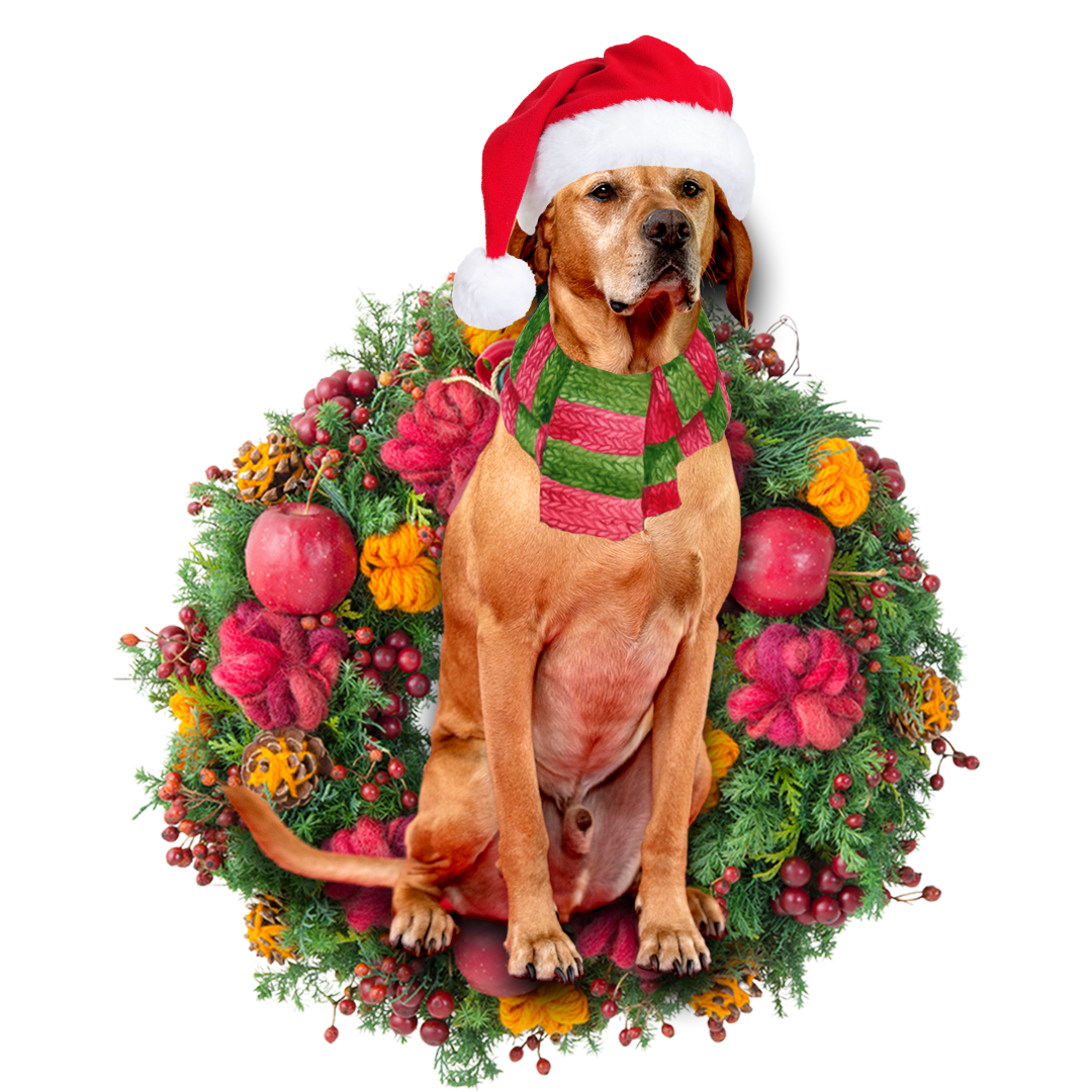 Red Labrador Christmas Ornament