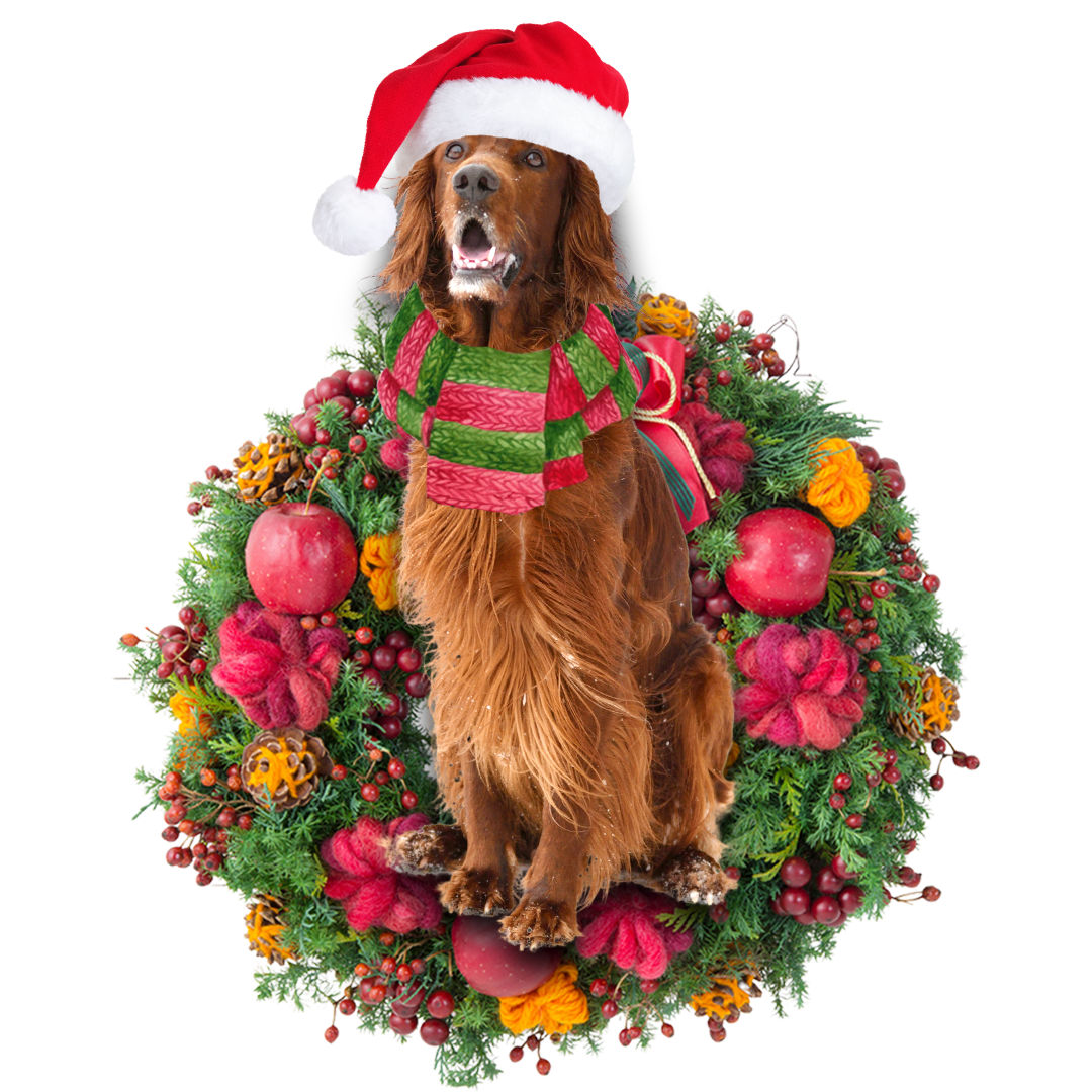 Red Setter Christmas Ornament