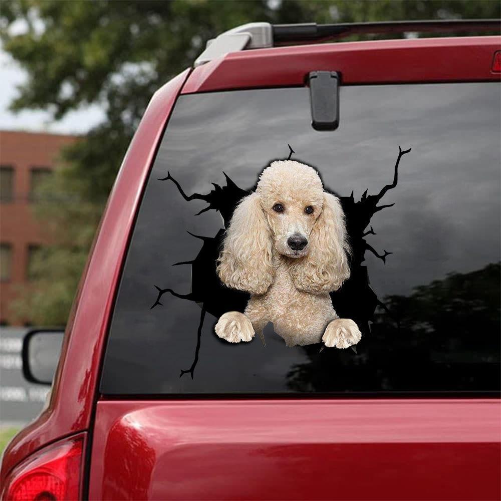 Poodle Crack Car Sticker, Toilet Sticker, Fridge Sticker 9