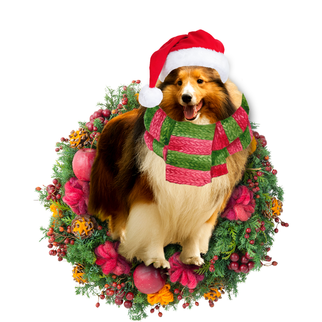 Rough Collie Christmas Ornament