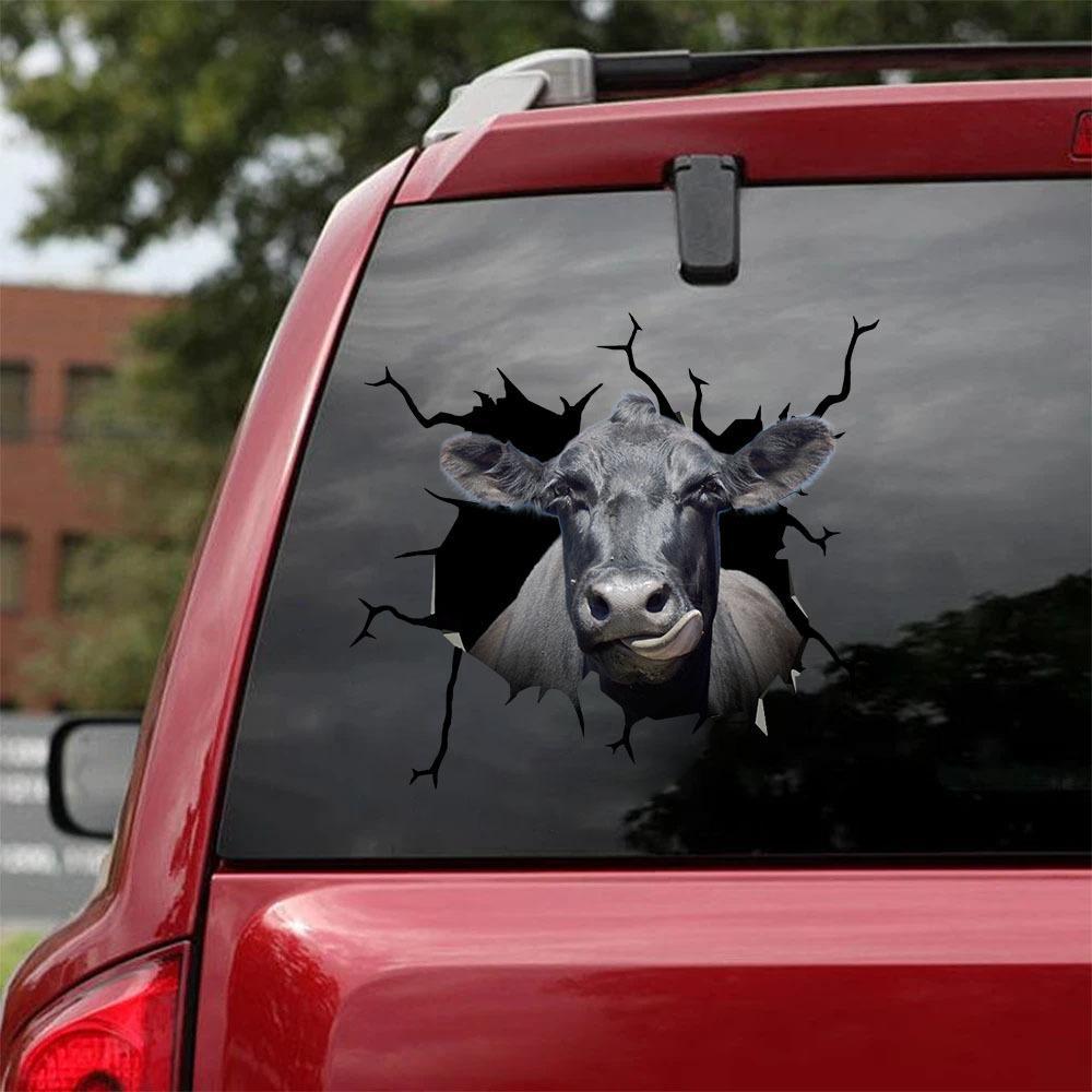 Funny Angus Cow Crack Car Sticker