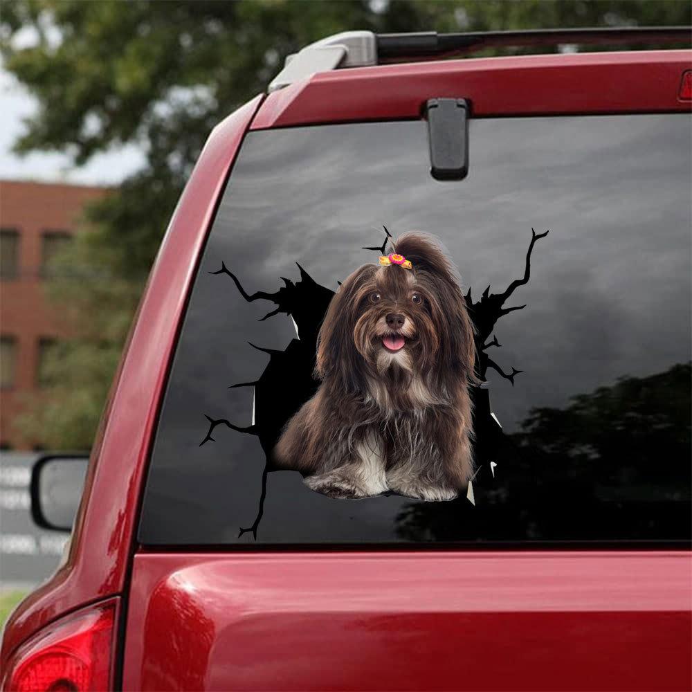 Havanese Crack Car Sticker, Toilet Sticker, Fridge Sticker 6