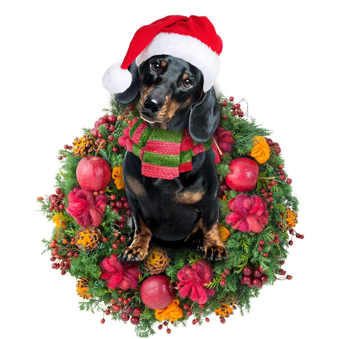 Dachshund Christmas Ornament