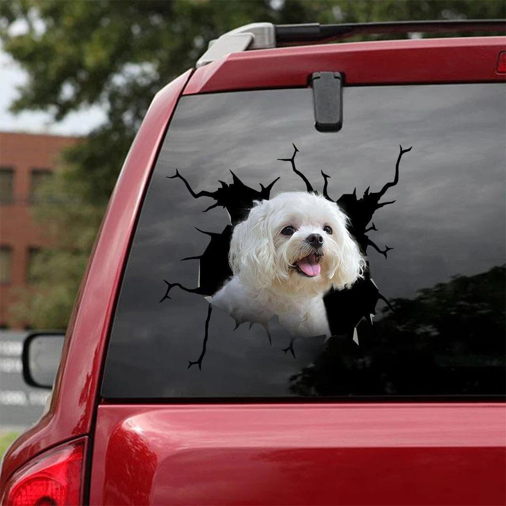 Maltese Crack Car Sticker, Toilet Sticker, Fridge Sticker 15