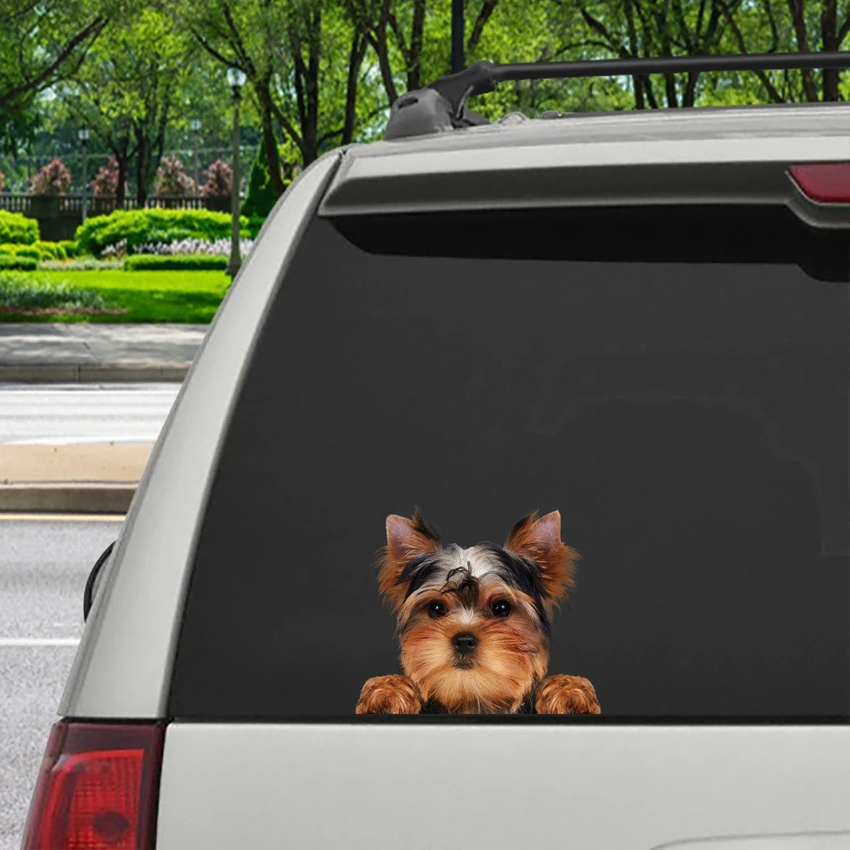 Can You See Me Now  Yorkshire Terrier Sticker V2