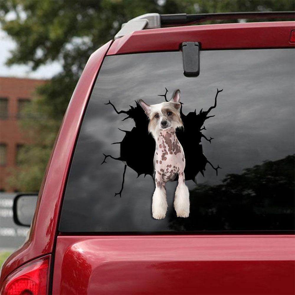 CHINESE CRESTED CRACK CAR STICKER 6
