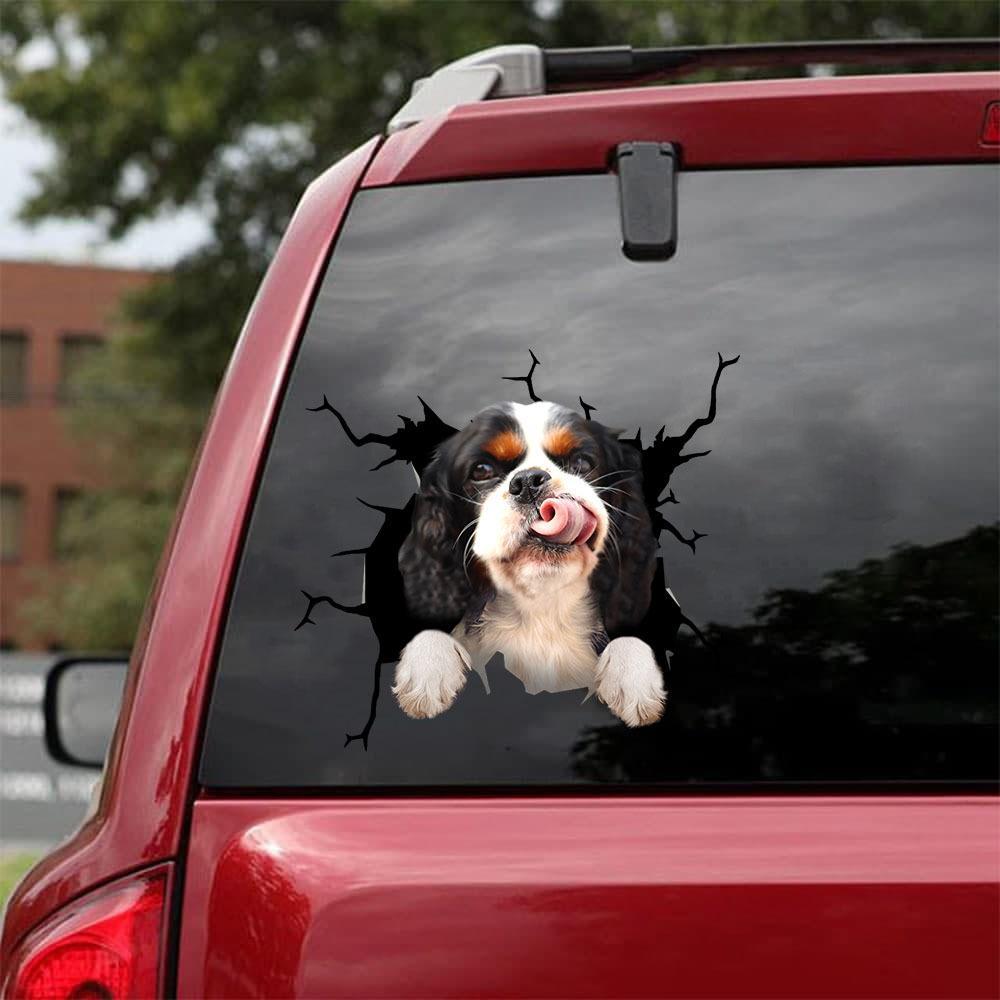 Cavalier King Charles Spaniel Crack Car Sticker, Toilet Sticker, Fridge Sticker 14