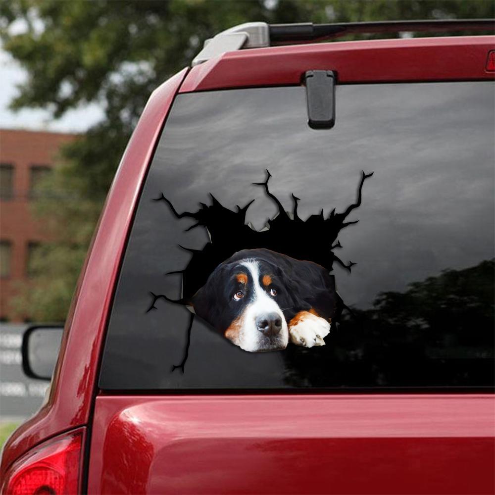 Bernese Mountain Crack Car Sticker, Toilet Sticker, Fridge Sticker 21