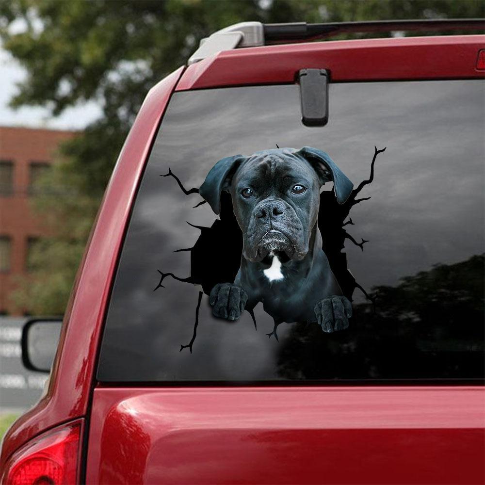 Boxer 5 Car Sticker