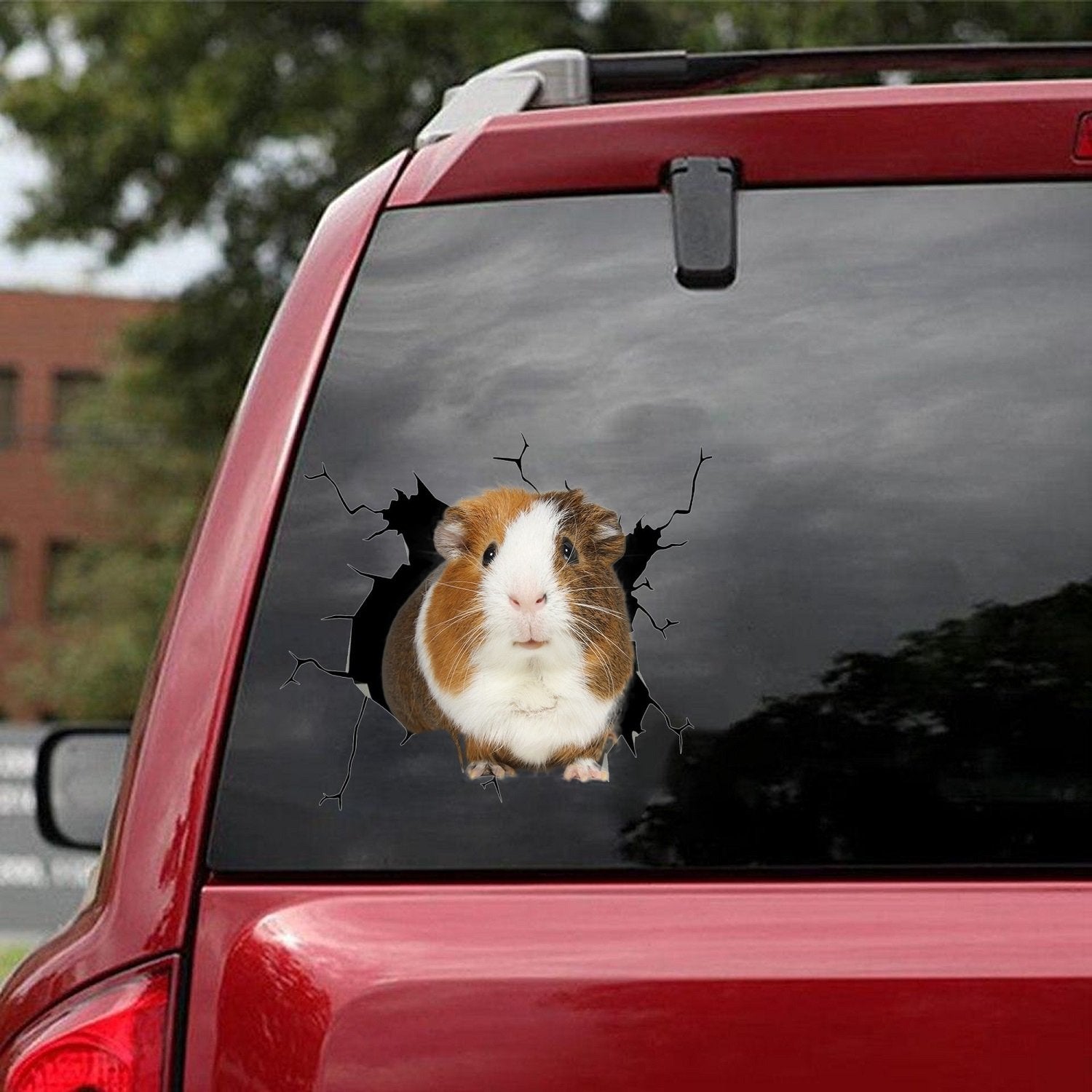 Guinea Pig Car Sticker