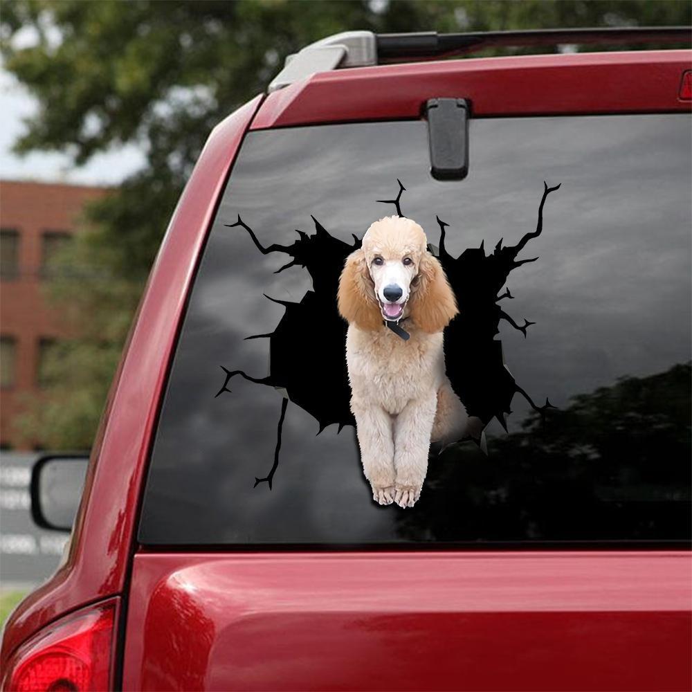 Funny Poodle 6 Car Sticker