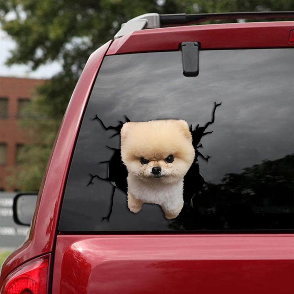 Pomeranian Crack Car Sticker, Toilet Sticker, Fridge Sticker 2