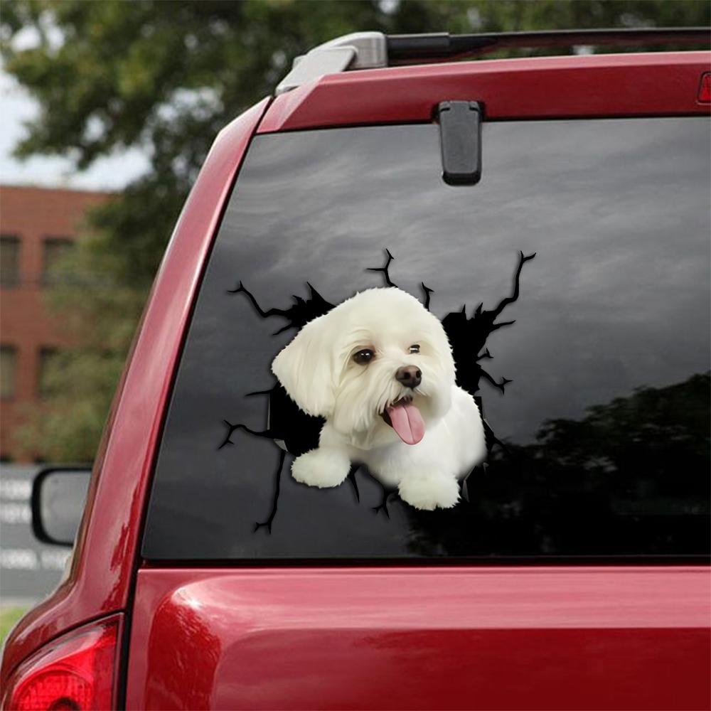 Maltese Crack Car Sticker, Toilet Sticker, Fridge Sticker 24