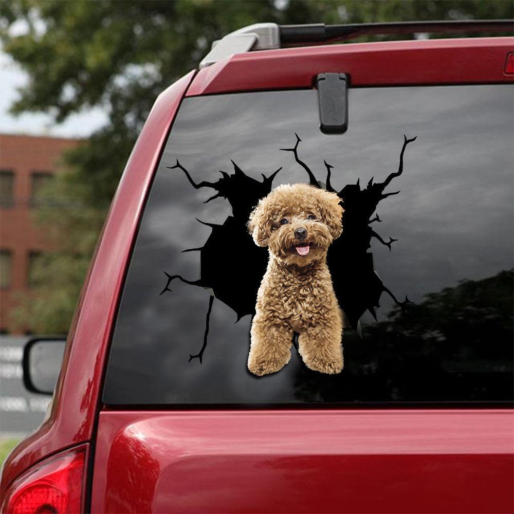 Funny Poodle 5 Car Sticker