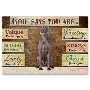 Weimaraner God Says You Are Doormat