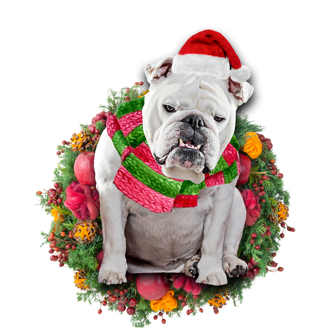 White Bulldog Christmas Ornament