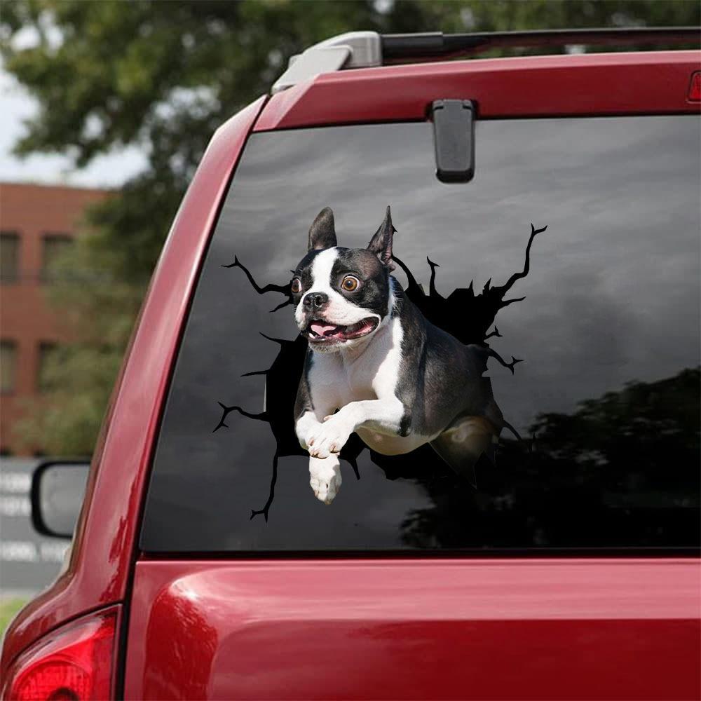 BOSTON TERRIER CRACK STICKER 7