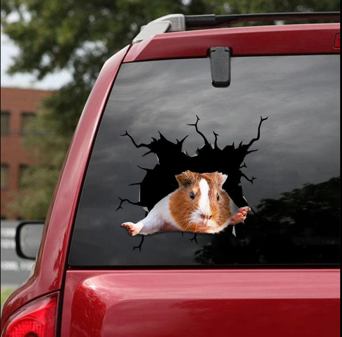 Guinea Pig Crack Car Sticker pets Lover