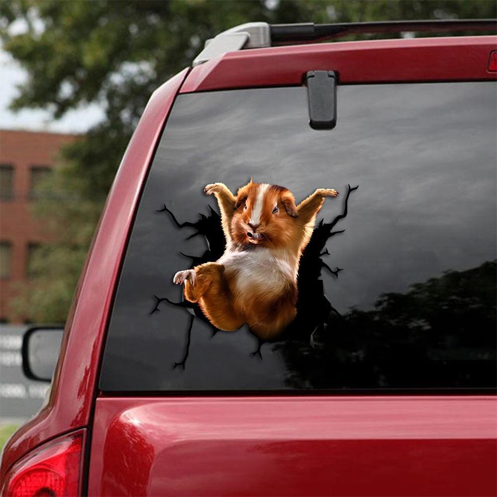Guinea Pig Car Sticker 8