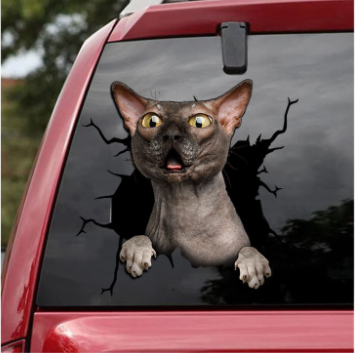 THE SPHYNX CRACK CAR STICKER CATS LOVER 5