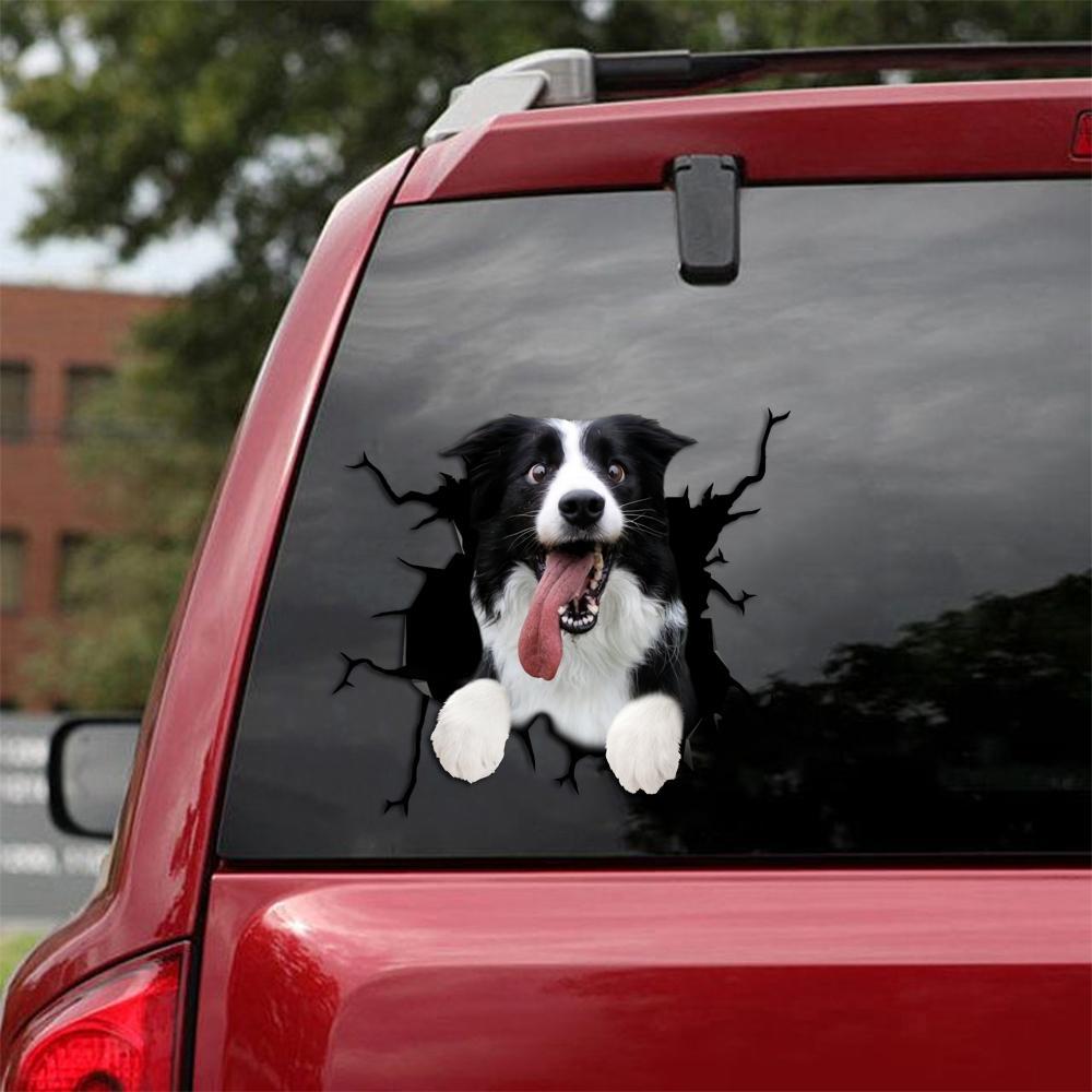 Border Collie Crack Car Sticker, Toilet Sticker, Fridge Sticker 12