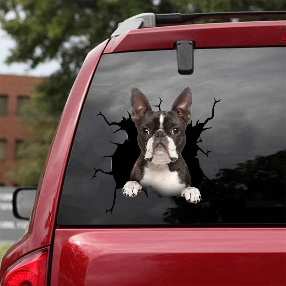 BOSTON TERRIER CRACK STICKER 5