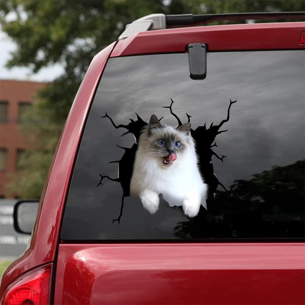 Siamese Cat Car Sticker Cats Lover (30)